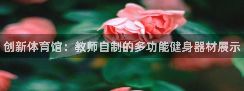 必一运动体育官网入口