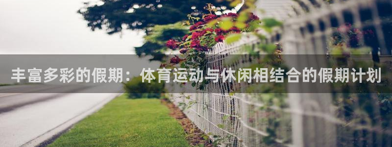 bsports必一运动