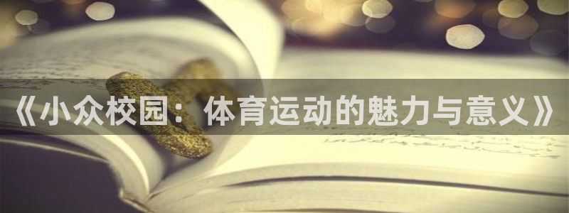 必一运动bsport体育
