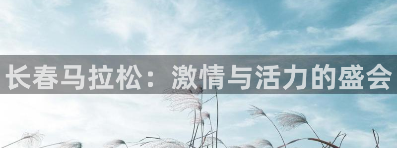 必一运动bsport体育