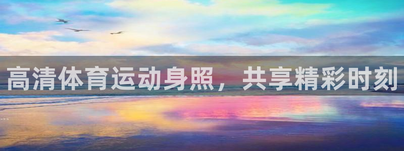 必一运动体育官网入口