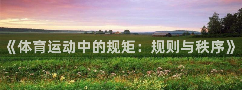 bsport必一运动