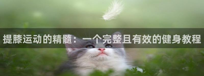 必一运动