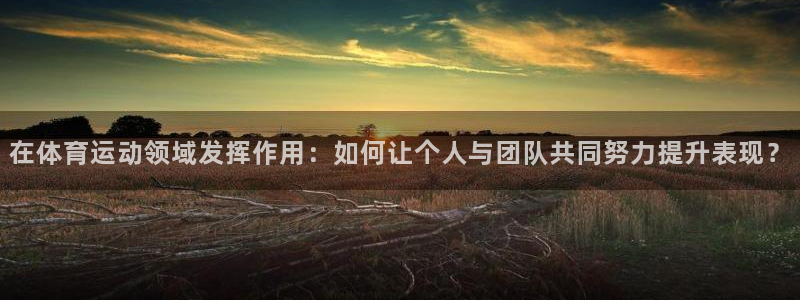 必一运动体育官网入口