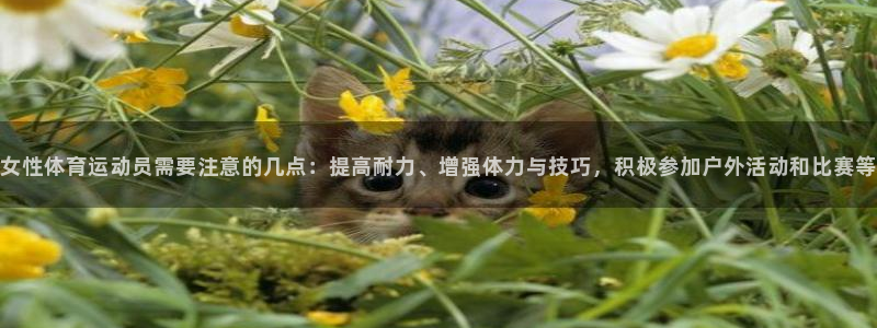 必一运动体育官网