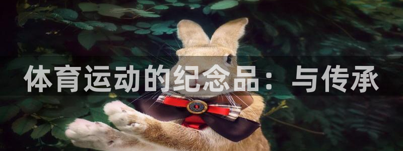 bsports官网 必一运动