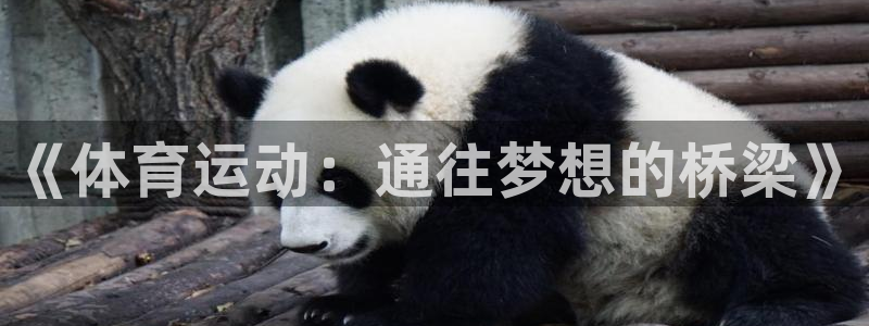 必一运动官网