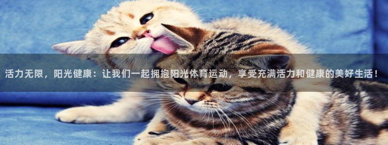bsports官网 必一运动