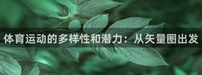 必一运动体育官网