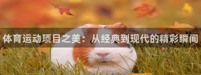 bsports必一运动