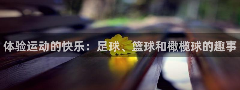 bsport必一运动