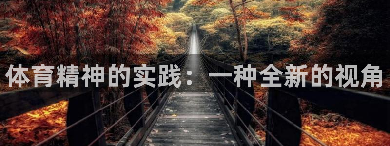 必一运动官网入口